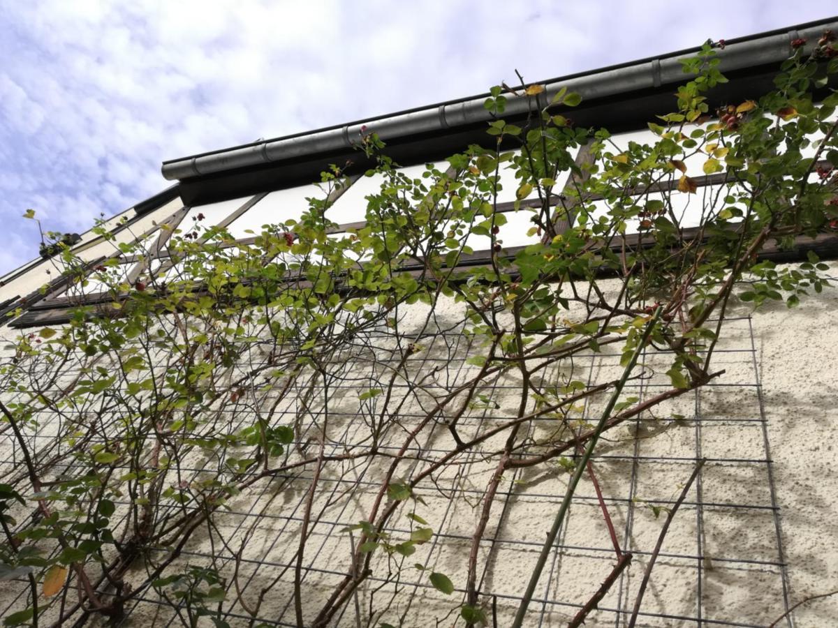 Praesenzhof Lay Apartment Exterior foto